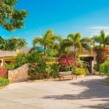 Anguilla'S Bird Of Paradise The Valley Esterno foto