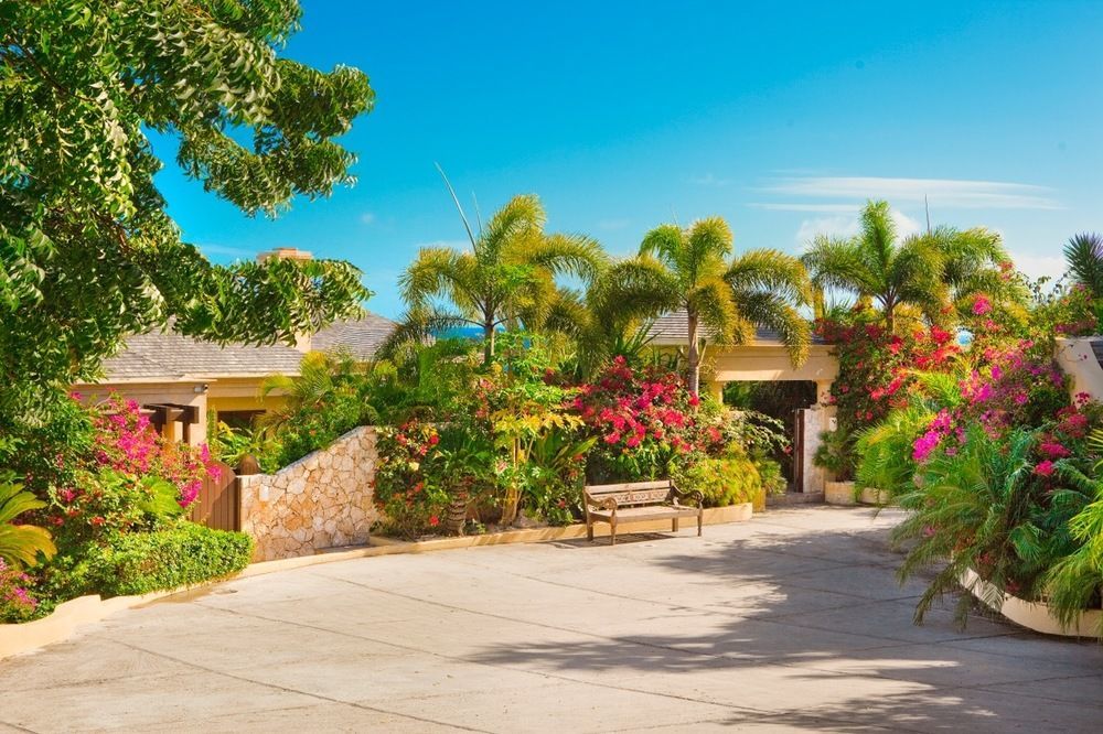 Anguilla'S Bird Of Paradise The Valley Esterno foto