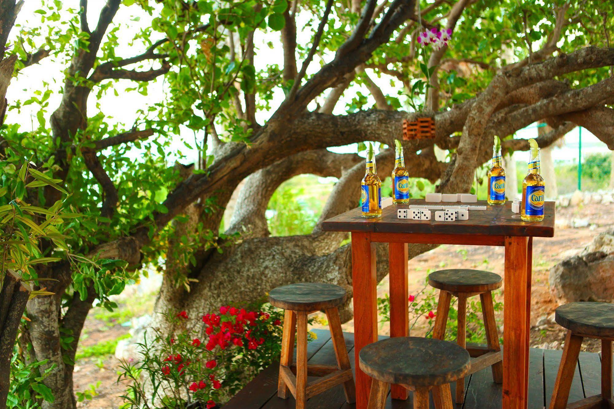 Anguilla'S Bird Of Paradise The Valley Esterno foto
